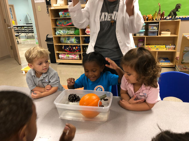 STEAM activity at Gateway